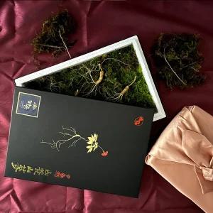강원도 횡성 산양삼 7-8년근 정품 10뿌리 (선물용 포장)