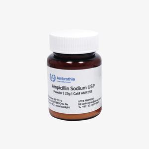암브로티아 항생제 AMP5B 미생물 실험 암피실린 5g 파우더 ampicillin sodium usp 실험 시약 파우더