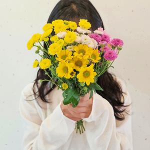 [꽃같은하루] 소국 생화 꽃다발 꽃주문 생화택배 꽃배달싼곳