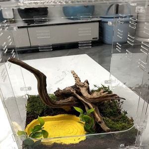 도마뱀사육장 파충류 장수풍뎅이집 아크릴 사슴벌레집