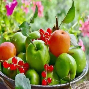 아트박스/아이윙스 피포페인팅 Q4340 부자가되는 사과 DIY명화그리기세트