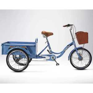 삼륜 2인용자전거 삼발이 할인 자전거 성인 가족 커플