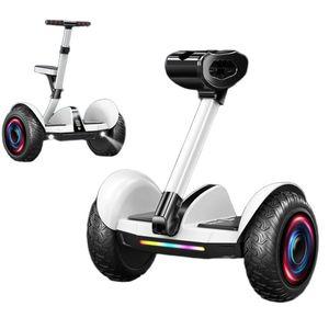 두발 전동휠 서서타는 출퇴근 경량 이륜 대리기사 고카트 밸런스