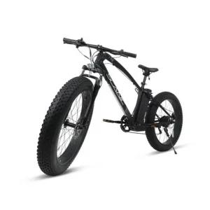 AU테크 스카닉 F100 팻바이크 전기자전거 36V 10A