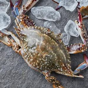 국산 제철 서해안 햇 톱밥꽃게 3kg