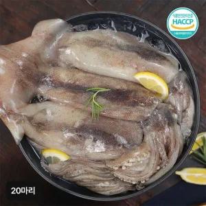 국내산 손질 통오징어 20마리