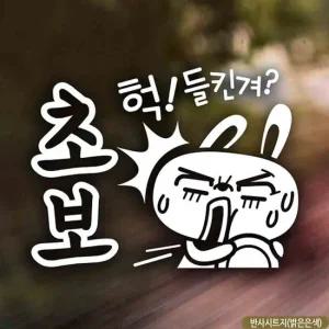 초보운전 자동차 스티커 헉들킨겨 반사형 시트지 안전운전 안내 초보운전 차량스티커
