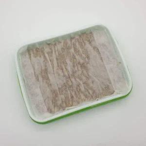 [콩심팥심]P1 새싹 씨앗 식물재배기 트레이