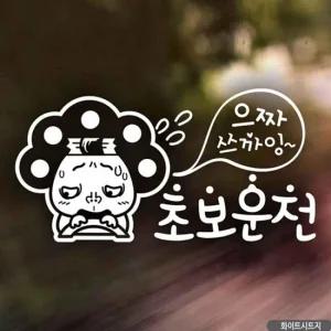 ksr 자동차스티커 파마줌마 으짜쓰까잉 초보운전 화이트 초보운전 차량용스티커주문제작