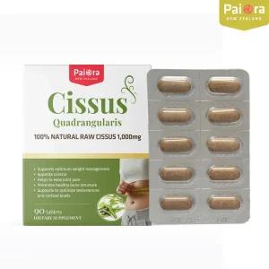 뉴질랜드 파이오라 시서스 1000mg 90 정 체지방감소 체지방분해 다이어트 보조제