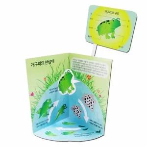 [셀러허브]개구리의 한살이 입체카드 5p 2개 K00275 실험기구세트 (S31268304)