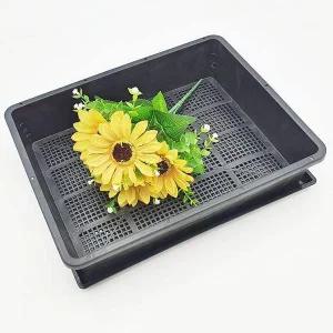 [콩심팥심]화분 대형 받침 트레이 세트 플라스틱화분