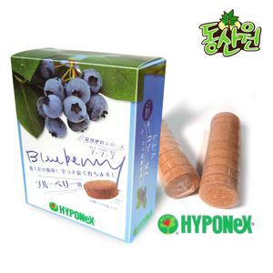 하이포넥스 블루베리 정제비료 전용비료