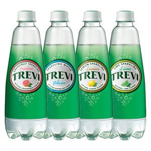 트레비 300ml X 20펫 탄산수/탄산음료