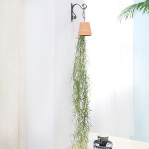 고급 조화 인테리어 넝쿨 틸란드시아 행잉 토기화분