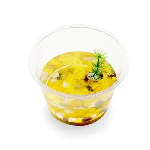 바다새우 키우기 만들기 (1인용) / 씨몽키 / 작은생물키우기