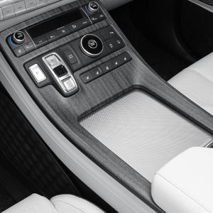 팰리세이드 튜닝 기어패널 커버 카본 몰딩