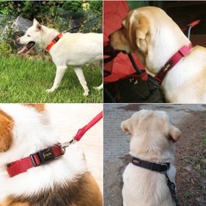 튼튼한 산책용 목줄 목걸이 대형견 중형견 강아지 진돗개 리트리버 큰개 편안한 시바견 불독