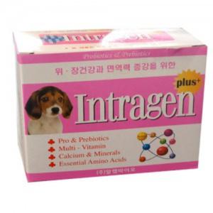 인트라젠 플러스(업그레이드제품) 60g (2gX30개입) 캣츠앤독