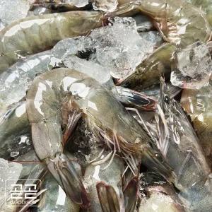 국내산 흰다리 새우 신안 제철 생물 대하 왕 생새우 2kg 활새우