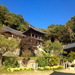 [KTX-당일]절경따라 단양 도담삼봉+잔도길+스카이워크&영주부석사