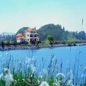 [충남 펜션] 태안(안면도) 힐링펜션 (태안,안면도)