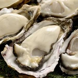 통영 생굴 1kg/2kg 중굴 깐 굴 굴제철 석화 각굴 굴튀김