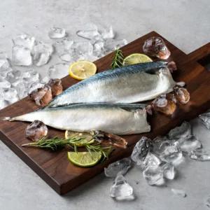 간편하게 손질된 신선한 국내산 고등어 10팩