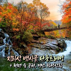 [전북] 남원 지리산 뱀사골 단풍여행(신선길 천년송 트레킹)+경남 함양상림 당일여행 / 서울경기出