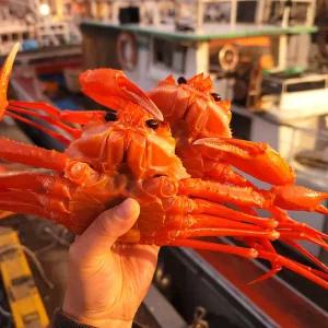 구룡포 선주직송 자숙 홍게 A급 3kg 9-12미 수율 70% 내외