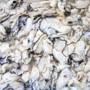 [해동찬가] 통영 싱싱한 햇 굴 1kg