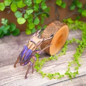 [과학교재] 우드 곤충 만들기 - 사슴벌레