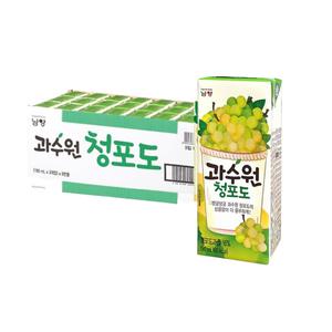 남양 과수원 청포도 190ml 24개