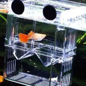 자동 분리케이스 어항용 흡착판 배양구 전용 작은 분리통 수조 정리함 가제 스폰지밥캐릭터