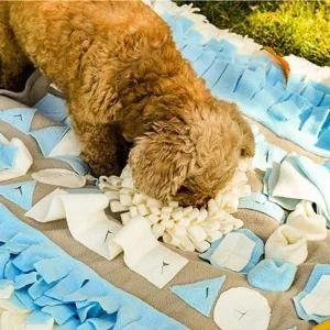 [골드스마일]애견 패드 숨기기 유대감 노즈워크 간식 심플 2종 감