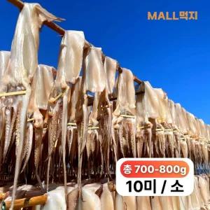 [국내원양]짜지않고 촉촉한 몰먹지 반건조오징어 소 10미- 구룡포 해풍 최상급 피데기