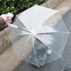 [골드스마일]강아지 우산 애견 산책용품 애견외출 외출용 장마용 반려견