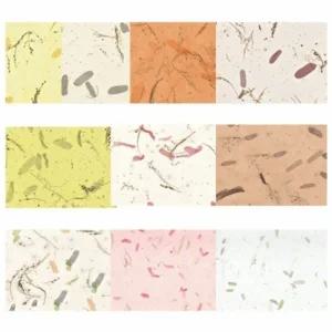 글로벌이지 예한 응용한지2 상록수지 조선종이 조선지 25장 640x940mm 공예용 포장 부자재 만들기 재료