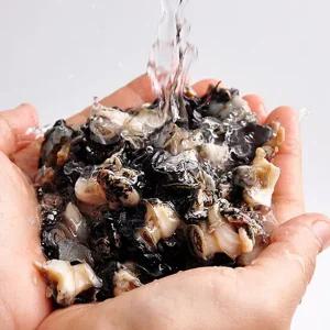 [HACCP인증]충남 서천 한진호님의 황토우렁이 1kg