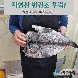 자연산 반건조 활복 우럭 400g 이상 1마리