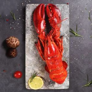 [인정식탁][해미래] 간편한 홈파티 자숙 냉동 랍스터 1마리 (400-450g 내외)