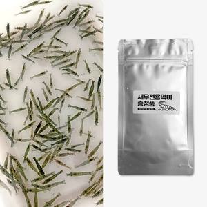 생이새우 100 마리