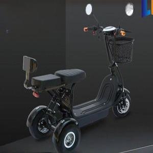 세발 전기 자전거 접이식 성인 전동 배터리 전기자전거 삼천리 세발전기자전거 동반 렌탈