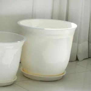 라인 원형화분 7호선물 단체 플라스틱 소형 미니 다육이 집들이