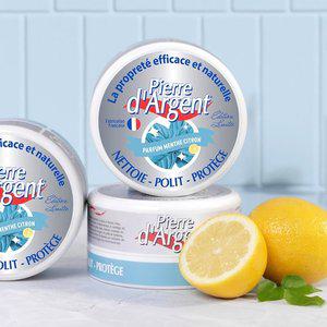 피에르다르장 프랑스 만능 다목적 세정제 300g 민트레몬향