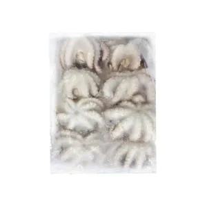 베트남 냉동 쭈꾸미 200g 20/30 , 30/50 , 50/80 , 80/100 골라담기