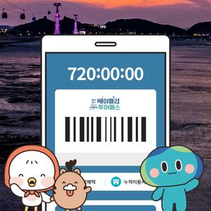 충남-경기 베이밸리 랜드마크 패키지 / 투어패스 자유이용권 관광지 체험 케이블카