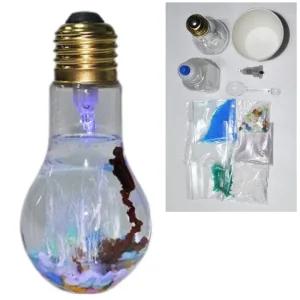 5인세트 화학정원만들기 실험키트 아쿠아 화학키트 준비물 과학 교구