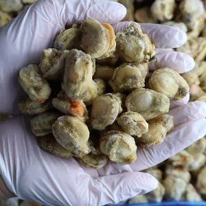 냉동 자숙 가리비살 10kg 손질 비단가리비