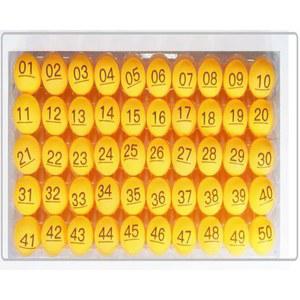 추첨공 번호적힌공 경품 뽑기 복권 추첨 상자 1개 복불복 로또 투명